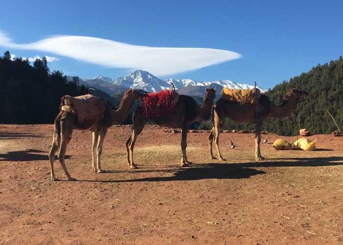 Ourika Valley Trips from Marrakech