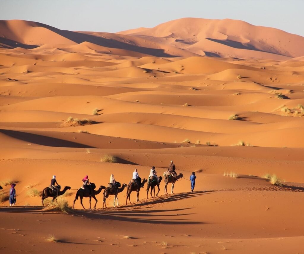 Camel Trek by Erg Chebbi